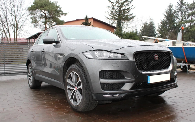 Jaguar F-Pace cena 80000 przebieg: 139000, rok produkcji 2017 z Łasin małe 596